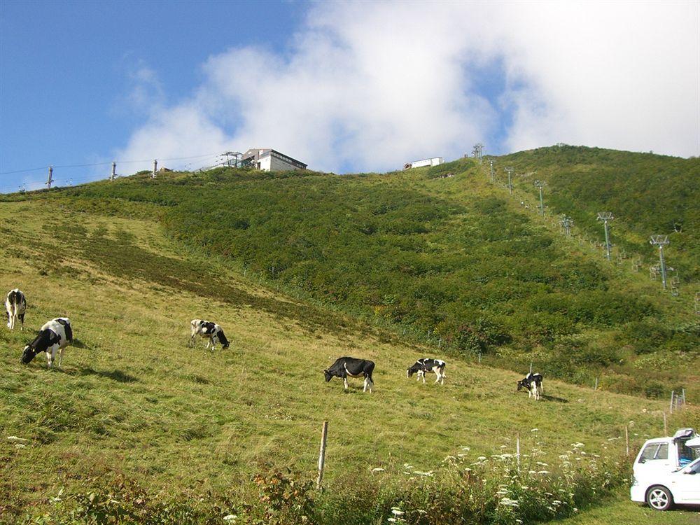 Вилла Il Bosco Хакуба-Мура Экстерьер фото
